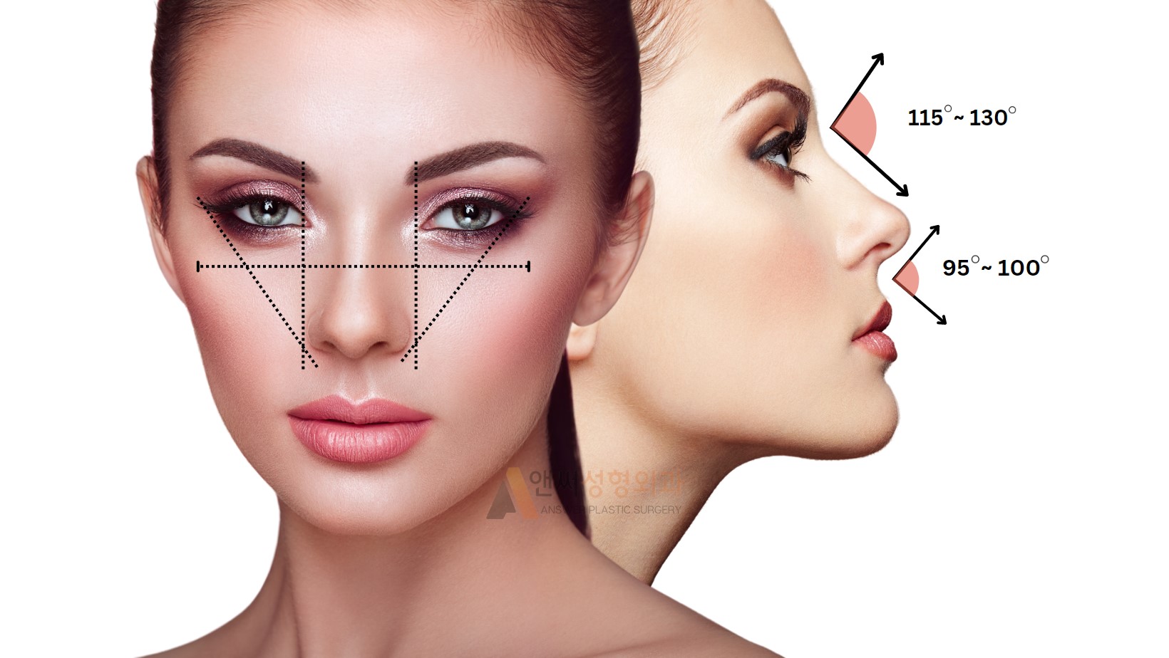 perfect nose shape your face